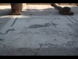 01774 ostia - regio ii - insula vii - piazzale delle corporazioni (ii,vii,4) - station 12 - navicvlar[i h(ippone)] diarry - ]sim c[.jpg